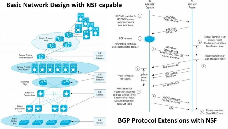 How Cisco NSF Works