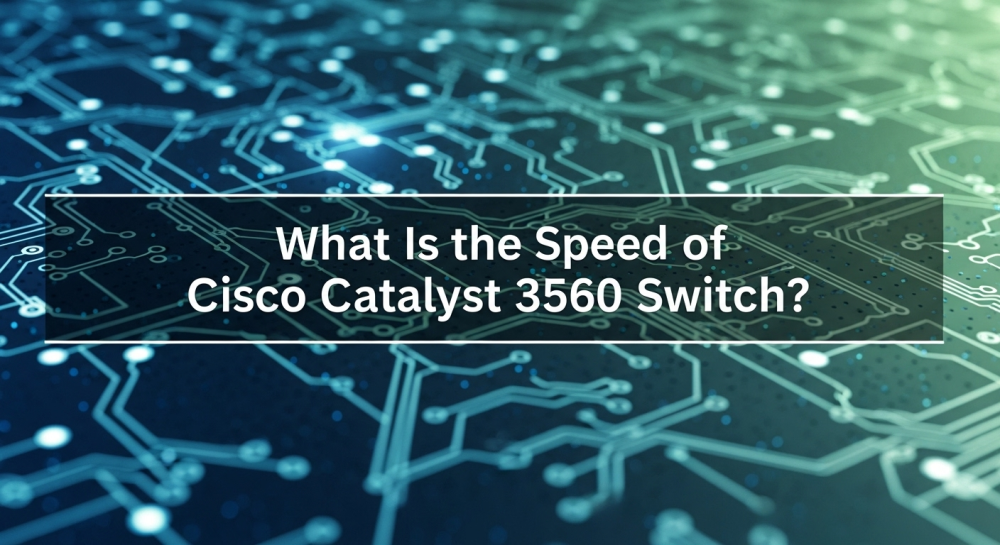 What Is the Speed of Cisco Catalyst 3560 Switch