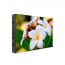 PHIA3-EH, Dahua PHIA3 Series Indoor Fixed LED, 4800 nits/Pixel Pitch 2.604mm/Module Size 250x250mm