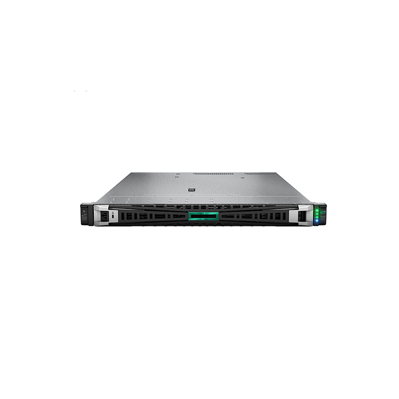 HPE DL325 Gen11 (P54199-B21)