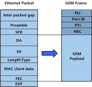GEM frame structure